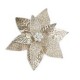 STELLA NATALE +GEMME CHAMPAGNE 45H 02157