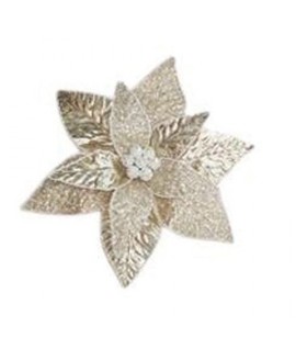 STELLA NATALE +GEMME CHAMPAGNE 45H 02157