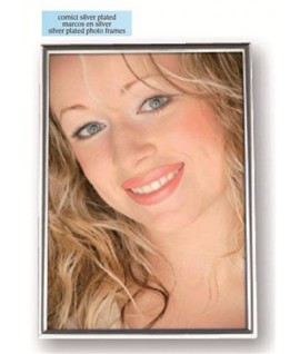 CORNICE ZEP 120S06-A4 SILVER 21X30