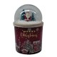 CANDELA PROF.BERRIES GR170 C/GLOBO 43002