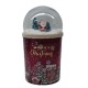 CANDELA PROF.BERRIES GR270 C/GLOBO 43019