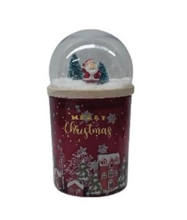 CANDELA PROF.BERRIES GR270 C/GLOBO 43019