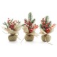 BOUQUET NATALE BASE JUTA D10X20H 50182