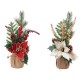 FIORI STELLA NATALE BASE JUTA 35H 125251