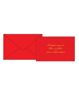 BIGLIETTO BN 9*14 ROSSO 1010 100PZ