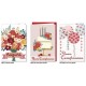 BIGLIETTO CROMO B.C.9989 12 PZ FEMMINILE