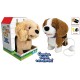 TOYS 28521 CANE RADIOCOMANDATO BILLY/DOL