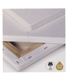 TELAIO PER PITTURA 355/ 35X50