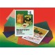 CARTA BANANA URSUS 21X31 ASSORTITA 10FF