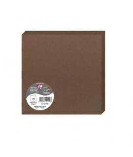 BIGLIETTO DOPP POLLEN 160X160 BROWN 25P