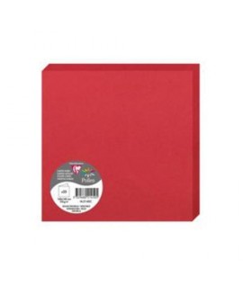 BIGLIETTO DOPP POLLEN 160X160 ROSSO 25P