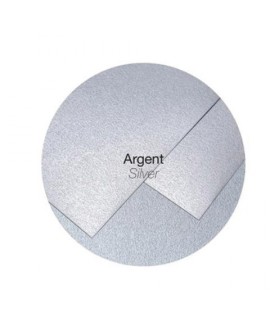 BIGLIETTO DOPP POLLEN 160X160 SILVER 25P
