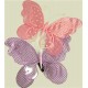 FARFALLA POIS 36*25 R211614