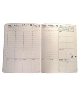 RIC.AGENDA SETTIM.QUOVADIS TRINOTE