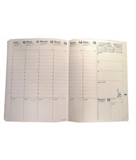 RIC.AGENDA SETTIM.QUOVADIS TRINOTE