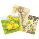 TOVAGLIOLO DECOUPAGE CWR ASSORTITO 20PZ