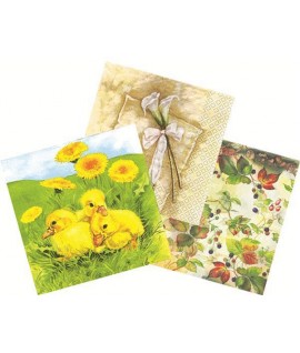 TOVAGLIOLO DECOUPAGE CWR ASSORTITO 20PZ