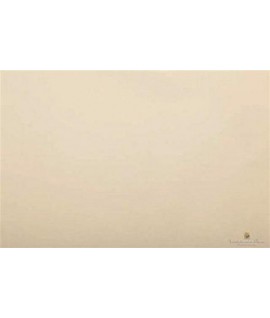 CARTA VELINA 50*76 GR20 AVORIO 005 24FF
