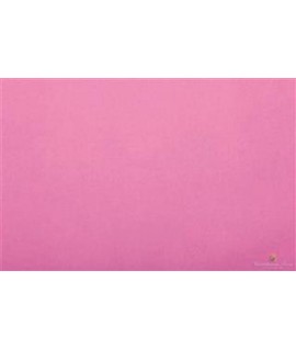 CARTA VELINA 50*76 GR20 ROSA SC 006 24FF