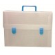 VALIGETTA POLIONDA TRASP. 37,5X27X5 2CH