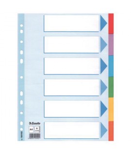 DIVISORI COLOR. 6T CART. ESSELTE 100192