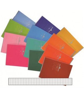MAXI QUADERNO BM CENTUS 19FF 4MM 10PZ