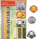 SET FUNNY BALL 6P ANIMALI SAVANA