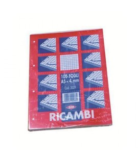 RICAMBIO QUAD FOGLI FORATI A5 100FF 4MM
