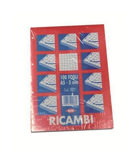 RICAMBIO QUAD FOGLI FORATI A5 100FF 5MM