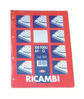 RICAMBIO MAXI FOGLI FORATI A4 100FF Q