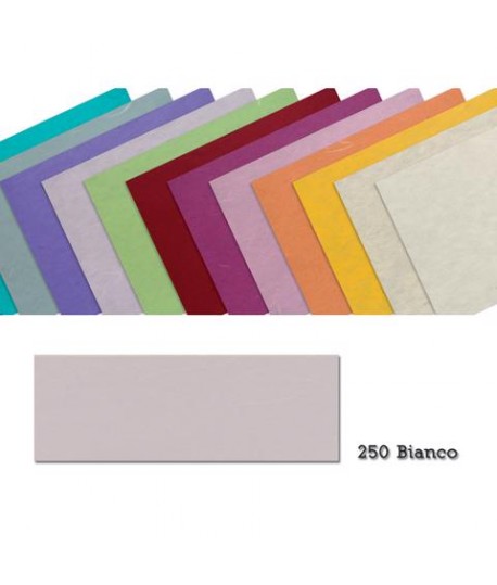 CARTA GELSO 25G 70*100 BIANCO 250 10FF