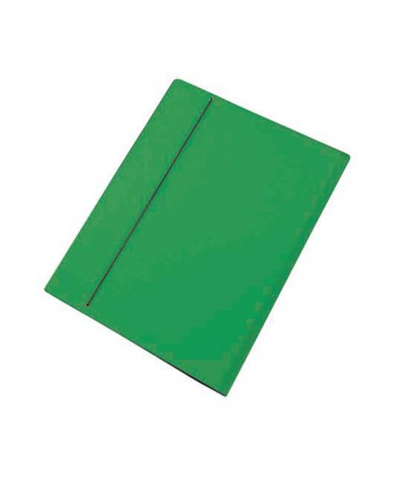 CARTELLA PRESPAN ELASTICO 35X50 VERDE