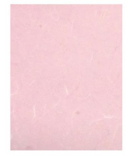 CARTA LETTERE NATURE A4 ROSA 10P