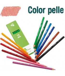 PASTELLO JOLLY 3000-10 COLOR PELLE