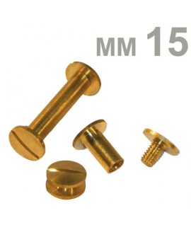VITI SEPOLTE IN OTTONE N5 MM15