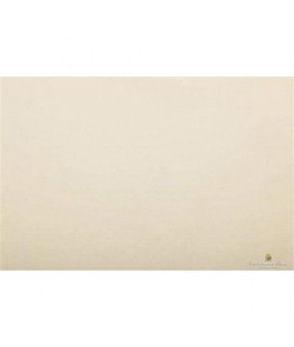 CARTA VELINA 50*76 GR20 VANIGLIA 72 24FF
