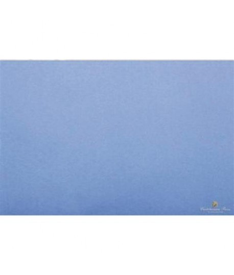 CARTA VELINA 50*76 GR20 PERVINCA 21 24FF