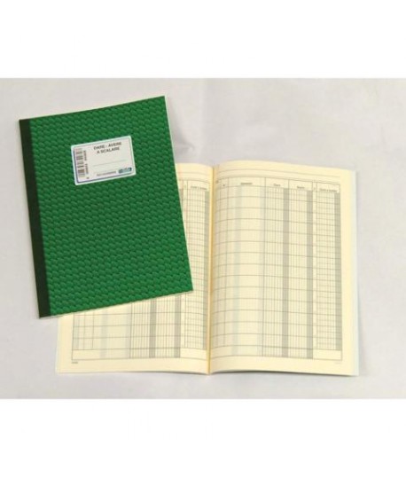 REG. DARE/AVERE/C.SCALARE 17X24 DU1333S0