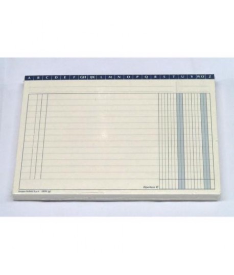 SCHEDA 21X15 ORIZ. 2 COL. 100PZ