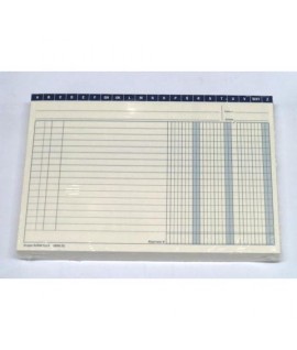 SCHEDA 21X15 ORIZ. 3 COL. 100PZ