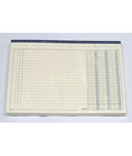 SCHEDA 24X17 ORIZ. 3 COL. DU1552 100PZ