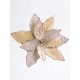 FIORE STELLA NAT AVORIO+CLIP CM18 128508