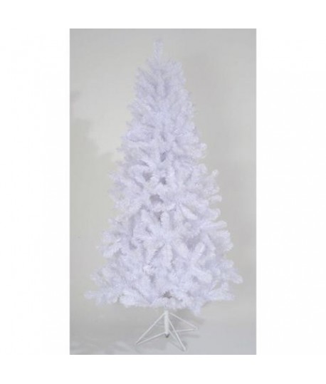 PINO BIANCO WHITE SPRUCE CM 180 688831