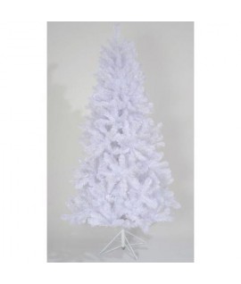 PINO BIANCO WHITE SPRUCE CM 210 688832