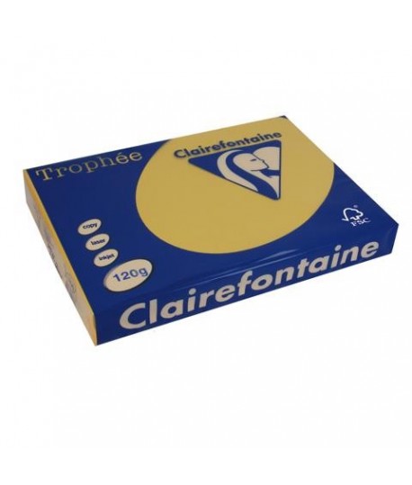 CARTA TROPHEE 120G A4 ORO 1206 250F