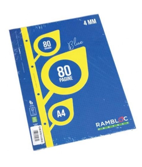 RICAMBIO RINFORZATO A4 80GR 4MM