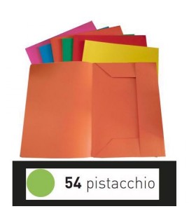 CARTELLA 3 LEMBI FAVINI PISTACCH. 25PZ