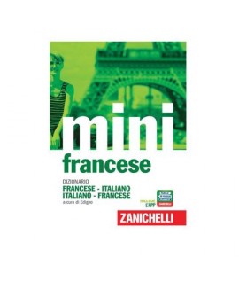 DIZIONARIO ZANICHELLI MINI FRANCESE