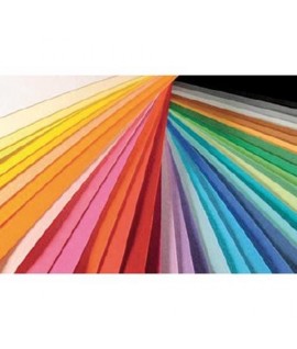 FOGLIO COLORLINE 220G 50*70 COLOR.PLANET