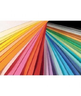 FOGLIO COLORLINE 220G 50*70 COLOR.PLANET